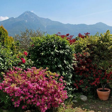 Casa Vacanze Al Boschetto Poncetta Exterior photo